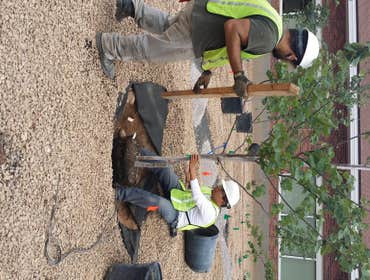 Photo(s) from Mannys Landscape & Irriagation