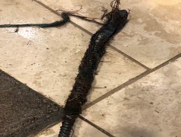 Drain cleaning-clog removed
