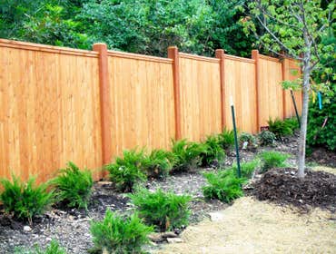 Wood Fence