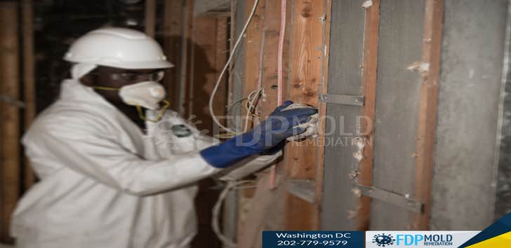 FDP Mold Remediation of DC