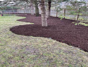 Photos by an Lopez´s Landscaping #10