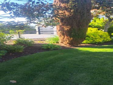 Photos by Best Northwestern Landscape Co #30