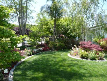 Landscapes Under Light Front Yard Landscape