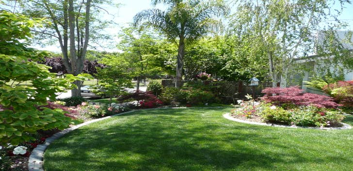 Landscapes Under Light Front Yard Landscape