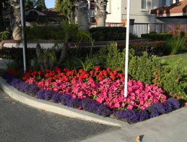 Professional Groundworks Photos