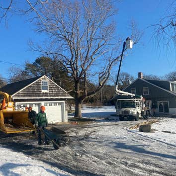 Photos by Palencia Landscaping & Tree Service Inc #1