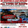 Big Dog Roofing Inc logo
