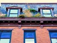 Photos from Eco Brooklyn Inc