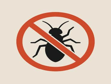 Photos by Naperville Pest Control Guys #1