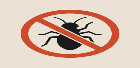 Photos by Naperville Pest Control Guys #1
