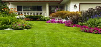 Photos from Greenscapes Lawns Services and Landscape Designs