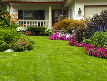 Photos from Greenscapes Lawns Services and Landscape Designs