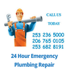 Drain Pro Plumbing Inc logo