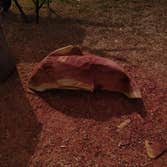 Photos by Scott's Stump Grinding and Tree Service #1