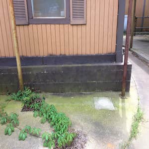 Photos from Jm Property Maintenace