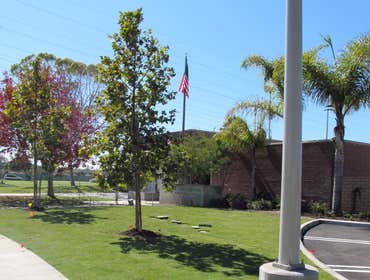 Edison Community Complex New Construction, Install 3 Soccer Fields, Planters and New Irrigation
