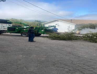 Photos by Ruiz Tree Service #9