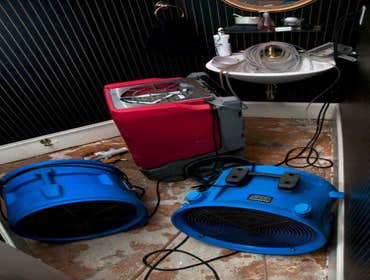 Photos by Mold Remediation Fort Collins #1