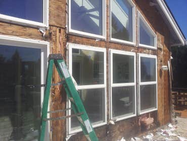 Dry Rot