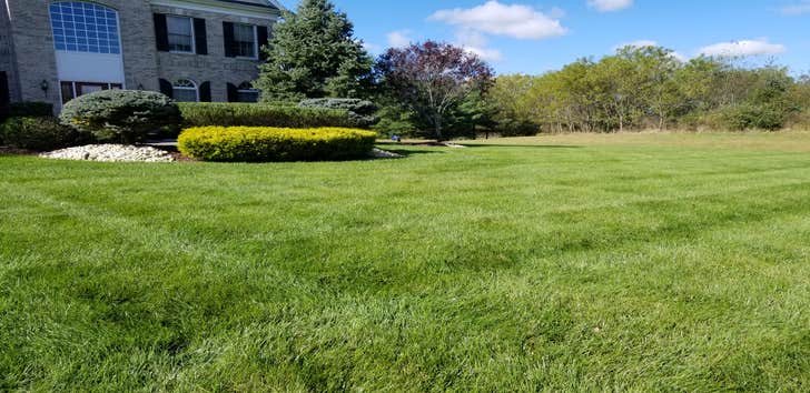 Photos by Flores Lawn Care & Landscaping LLC #1