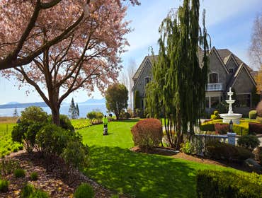 Photos by Mv Top Landscaper LLC #1