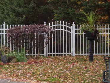 Ornamental