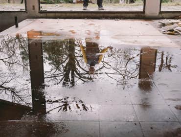 Photos by Water Damage Restoration Company Near Me #1