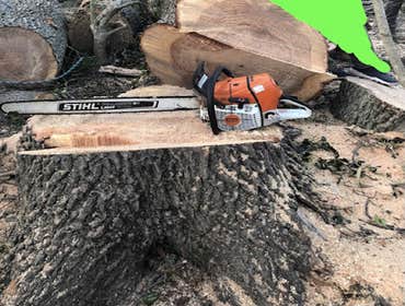 Photos by Jr & Dubon Tree Service #1