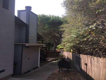 Photos by Moreno Tree Service #1