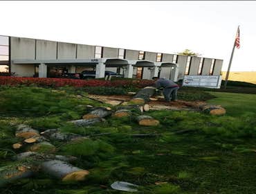 Photos by A&m Tree Services LLC #1