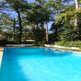 Photos by Lil Duckies Pool Company #1