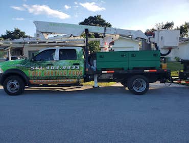 Photos by Tree Trimming Service #1