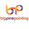Big Pine Painting logo