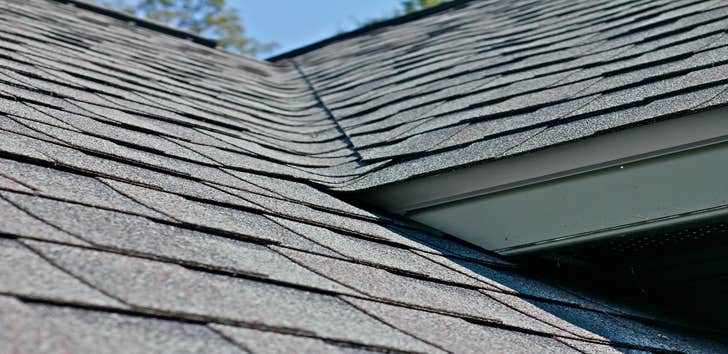 the Detroit Roofing Company