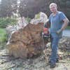 John's Tree Service logo