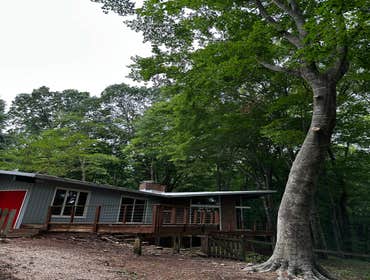 Flores Tree Services General & Landscaping