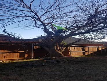 Photos by K&r Tree Service LLC #1