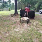 Superior Stump Grinding