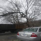 Photos by Valdez Tree Service LLC #3