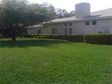 Landscaping We have a knowledgeable staff that is equipped to maintain your properties and service your needs from top to bottom. We are a complete in-