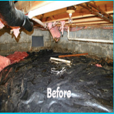 Before and After Photos