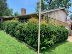 Photos by Don Cele Landscaping #1