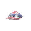 Home Pros Colorado logo