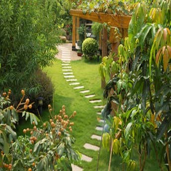 Allen Landscaping Works