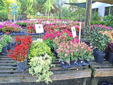 Photo(s) from Everything Outdoors