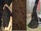 Works by Panfilo Landscaping