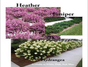 Photos by ECO Landscaping #1