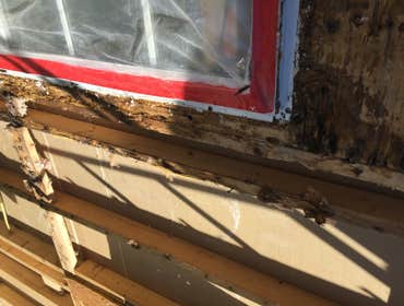 Photos by Ggr Stucco LLC and Painting #1 stucco remove and replace