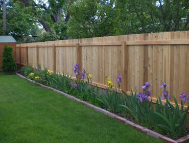 Fences