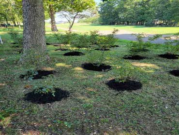 Photos by Alberto Alavez Professional Lawn Services LLC #3